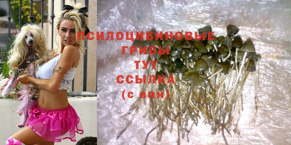 бошки Надым