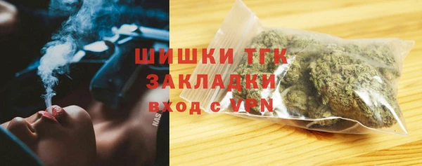 бошки Надым