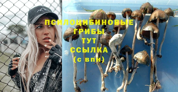 каннабис Михайловка