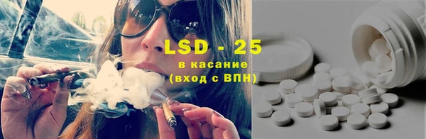 индика Наволоки