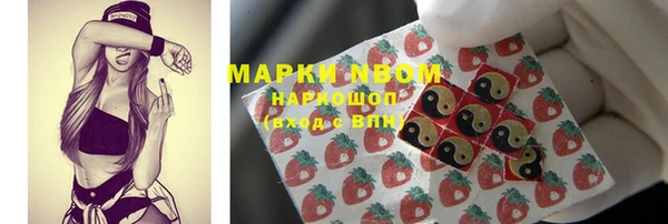 индика Наволоки