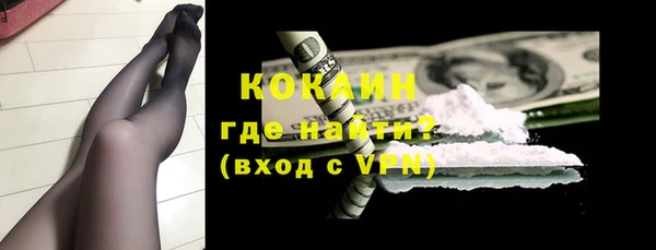 индика Наволоки