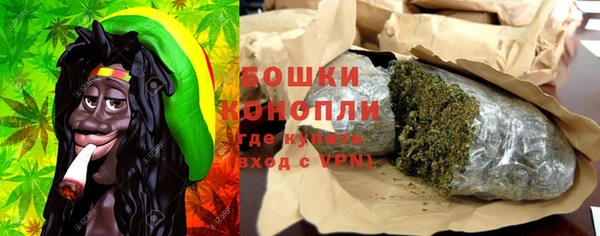 индика Наволоки