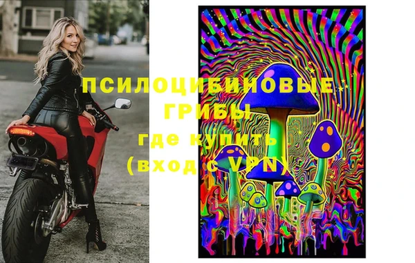 бошки Надым