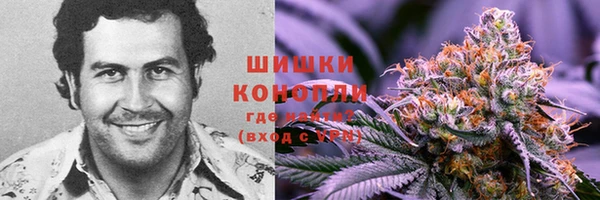 индика Наволоки