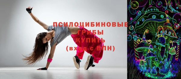 бошки Надым