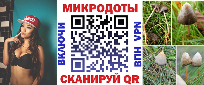 Галлюциногенные грибы Psilocybine cubensis  Магнитогорск 